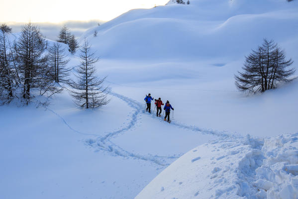 Hikers on snowshoes advance in fresh snow in the Engadine. Canton of Graubunden. Switzerland. Europe