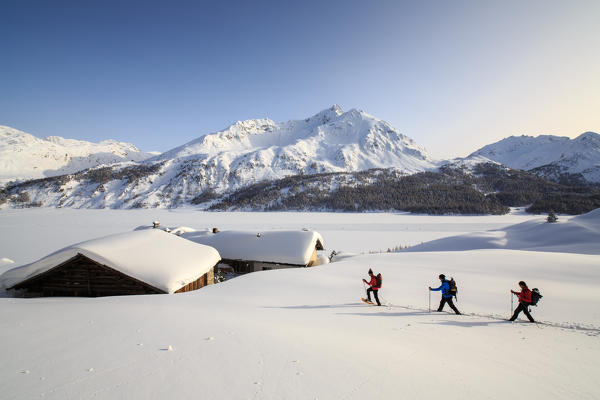 Hikers on snowshoes reach the characteristics huts of Spluga at the Maloja Pass. Canton of Graubunden. Engadine. Switzerland. Europe