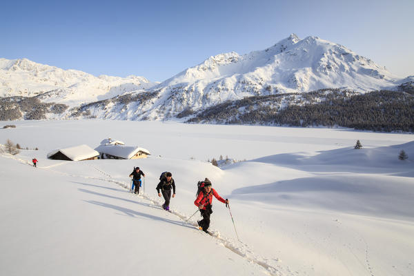 Hikers on snowshoes near the huts of Spluga above Maloja Pass. Canton of Graubunden. Engadine. Switzerland. Europe