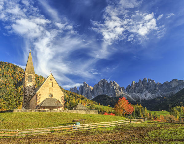 Church of St. Magdalena  immersed in the colors of autumn. In the background the Odle Mountains. Val di Funes. South Tyrol Trentino Alto Adige Italy Europe