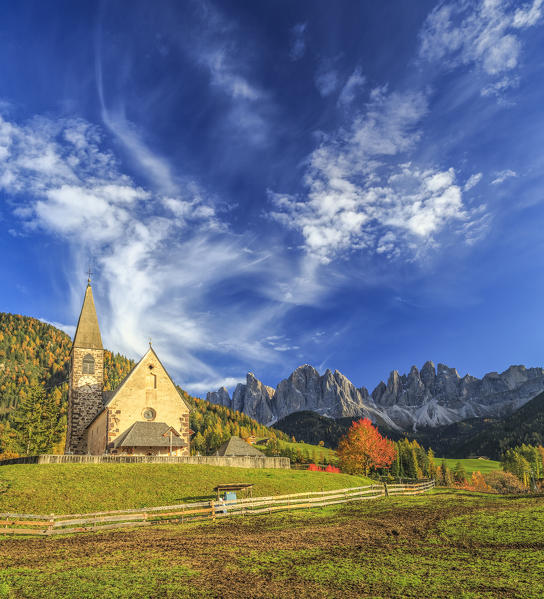 Panorama of church of St. Magdalena  immersed in the colors of autumn. In the background the Odle Mountains. Val di Funes.