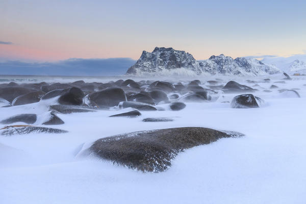 The cold wind that blows constantly shapes the snow on the rocks around Uttakleiv at dawn. Lofoten Islands Norway Europe