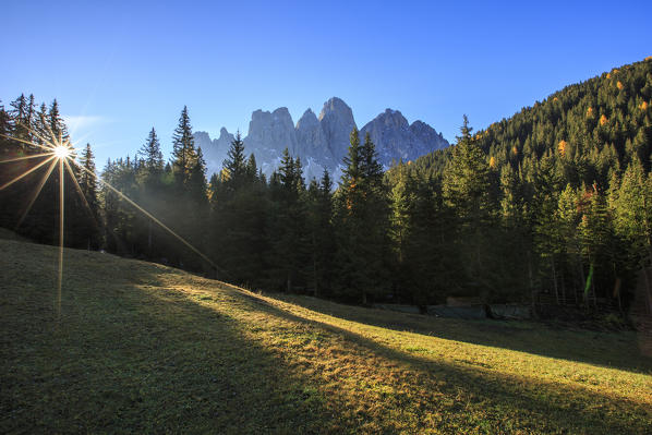 Green meadows and colorful woods in autumn frame the Odle. Malga Zannes. Funes Valley South Tyrol Dolomites Italy Europe