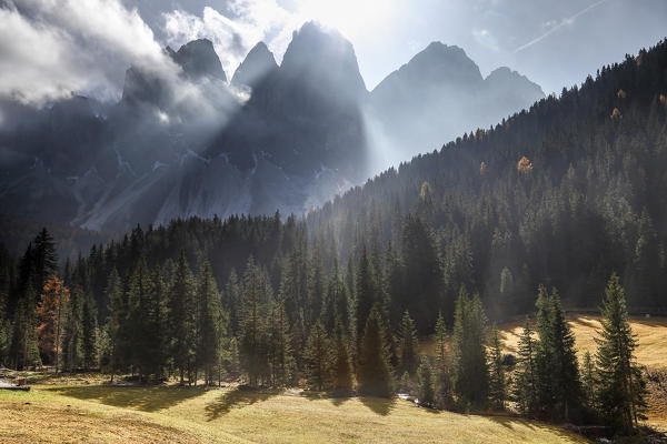 Colorful woods in autumn frame the Odle. Malga Zannes. Funes Valley South Tyrol Dolomites Italy Europe