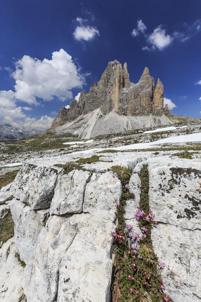 Views of the Three Peaks of Lavaredo on a summer day. Sesto Dolomites Trentino Alto Adige Italy Europe