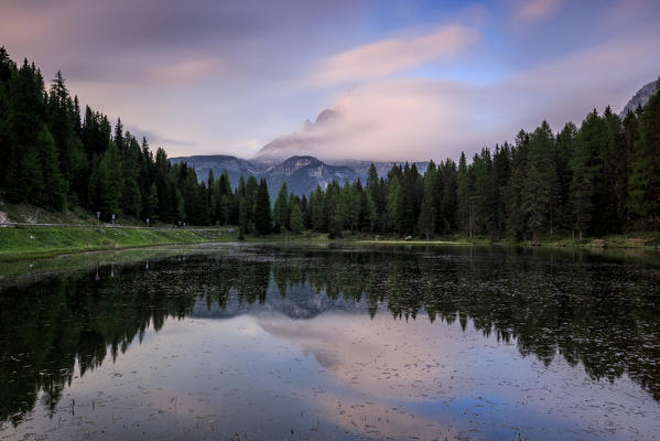 Trees reflected in Lake Antorno at sunset. Veneto Sesto Dolomites Italy Europe