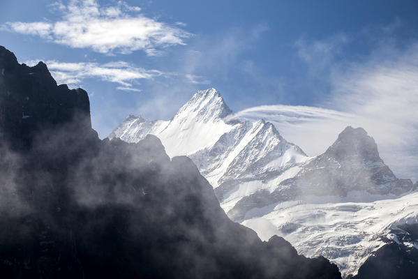 View of Mount Schreckhorn from First Grindelwald Bernese Oberland Canton of Bern Switzerland Europe