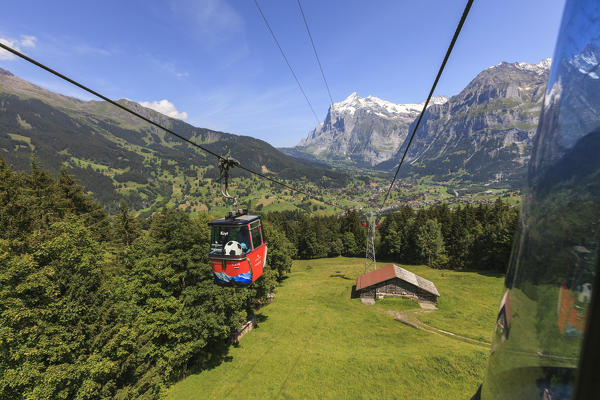 The red cable in the green valley Mannlichen Grindelwald Bernese Oberland Canton of Berne Switzerland Europe