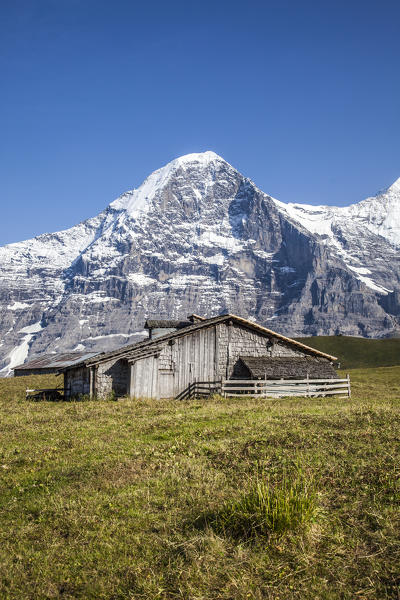 Wood hut with Mount Eiger in the background Mannlichen Grindelwald Bernese Oberland Canton of Berne Switzerland Europe