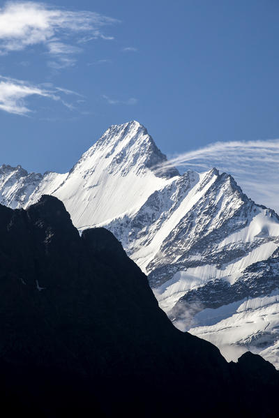 View of Mount Schreckhorn from First Grindelwald Bernese Oberland Canton of Bern Switzerland Europe