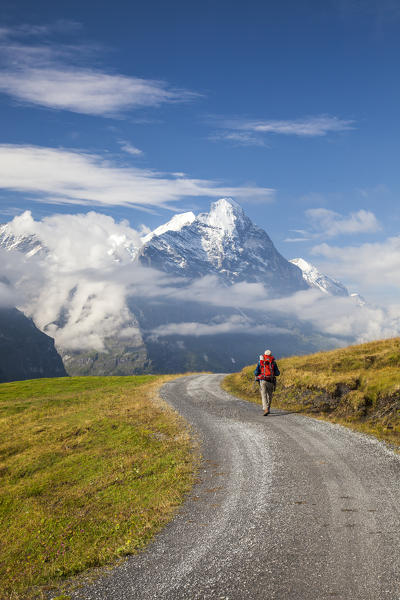 Hiker on the way to Mount Eiger First Grindelwald Bernese Oberland Canton of Berne Switzerland Europe