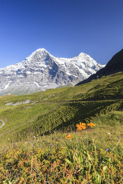 View of Mount Eiger from Männlichen Grindelwald  Bernese Oberland Canton of Bern Switzerland Europe