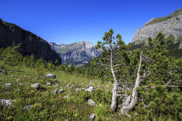 Summer landscape Bernese Oberland Kandersteg Canton of Bern Switzerland Europe