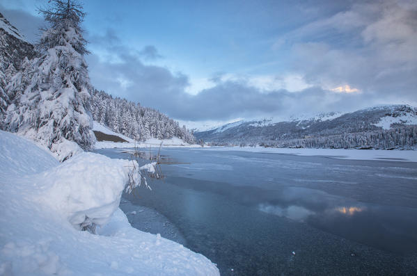 The shore of the frozen Lake Sils Upper Engadine Canton of Grisons Switzerland Europe