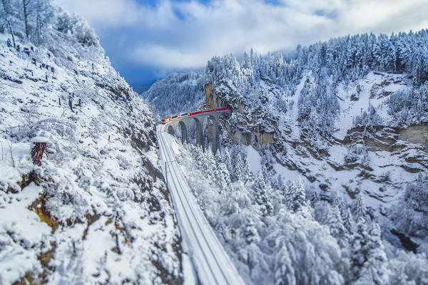 Bernina Express passes through the snowy woods Filisur Canton of Grisons Switzerland Europe