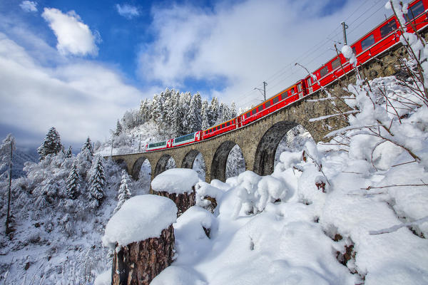 Bernina Express passes through the snowy woods Filisur Canton of Grisons Switzerland Europe