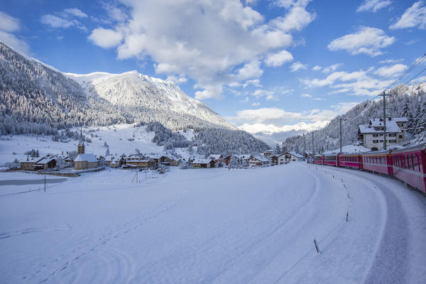 Bernina Express passes through the snowy woods Filisur Canton of Grisons Switzerland Europe