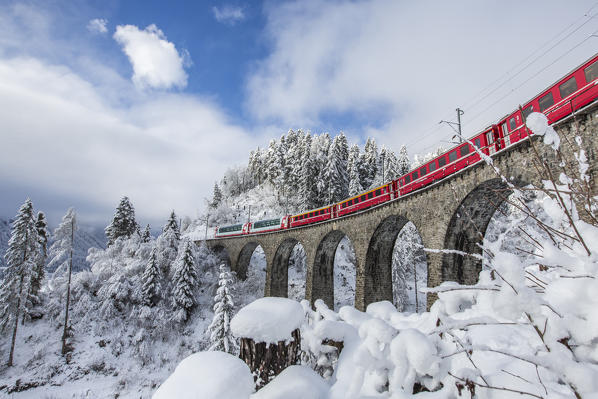 Bernina Express passes through the snowy woods Filisur Canton of Grisons Switzerland Europe