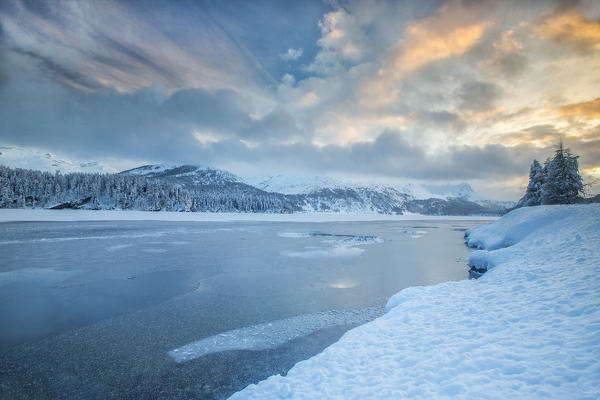 The shore of the frozen Lake Sils Upper Engadine Canton of Grisons Switzerland Europe