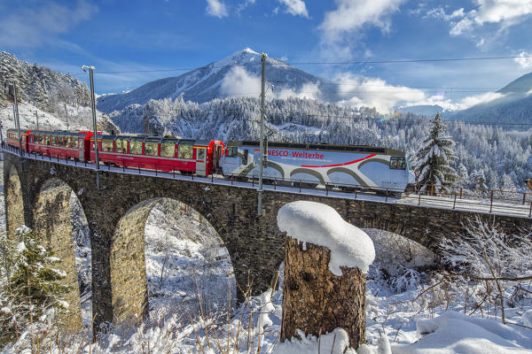 Bernina Express passes through the snowy woods Filisur Canton of Grisons Switzerland Europe