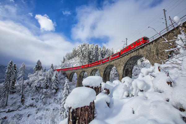 Bernina Express passes through the snowy woods Filisur Canton of Grisons Switzerland Europe