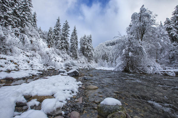 A stream surrounded by snow covered trees Filisur Canton of Grisons Switzerland Europe