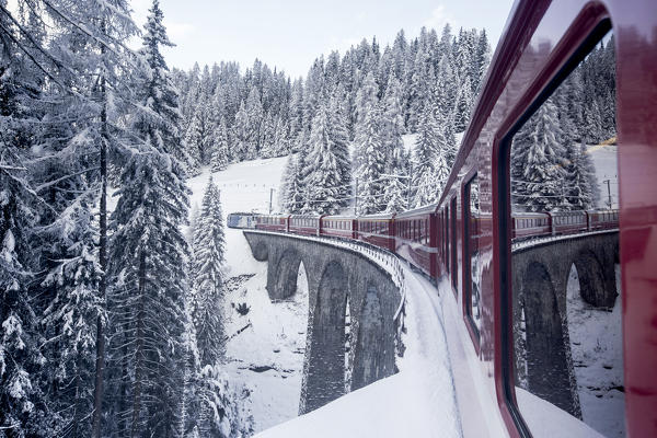 Bernina Express passes through the snowy woods Filisur Canton of Grisons Switzerland Europe
