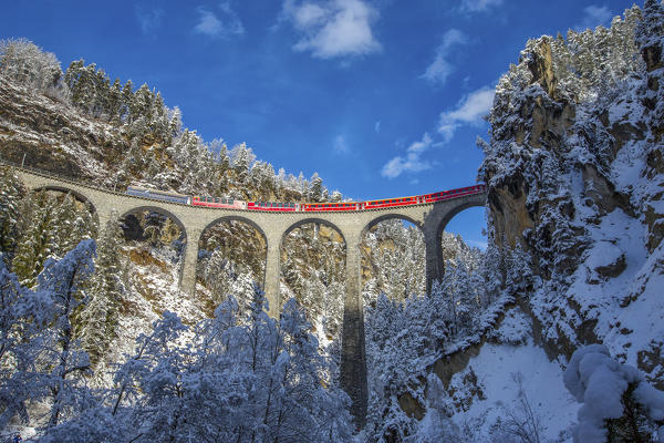 Bernina Express passes through the snowy woods Filisur Canton of Grisons Switzerland Europe