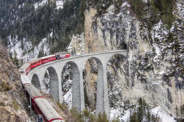 Bernina Express passes through Landwasser Viadukt and snowy woods Filisur Canton of Grisons Switzerland Europe