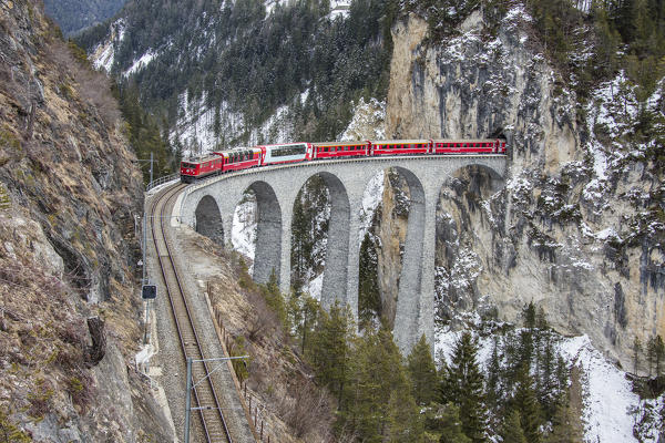 Bernina Express passes through Landwasser Viadukt and snowy woods Filisur Canton of Grisons Switzerland Europe