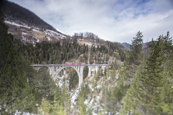 Bernina Express passes through Wiesner Viadukt and woods Filisur Canton of Grisons Switzerland Europe
