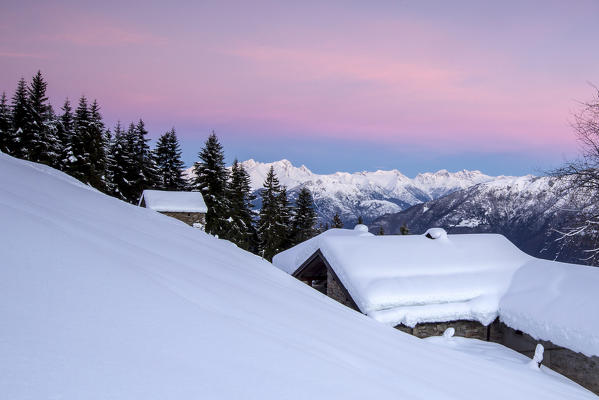 Pink sky at dawn above snow covered huts and trees Tagliate Di Sopra Gerola Valley Valtellina Orobie Alps Lombardy Italy Europe