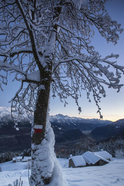 Lights of dawn on snow covered huts and trees Tagliate Di Sopra Gerola Valley Valtellina Orobie Alps Lombardy Italy Europe
