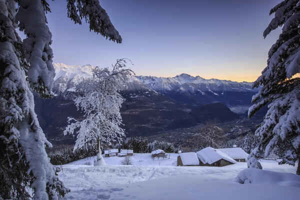 Lights of dawn on snow covered huts and trees Tagliate Di Sopra Gerola Valley Valtellina Orobie Alps Lombardy Italy Europe