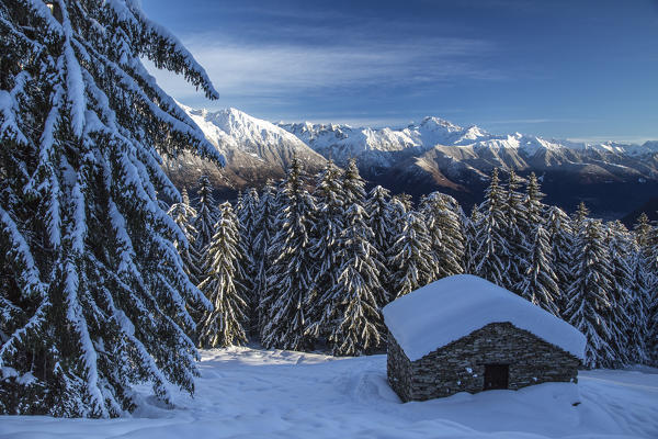 Snow covered hut and trees after a heavy snowfall Olano Masino Valley Valtellina Orobie Alps Lombardy Italy Europe
