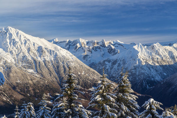 Trees covered with snow and snowy peaks Olano Masino Valley Valtellina Orobie Alps Lombardy Italy Europe