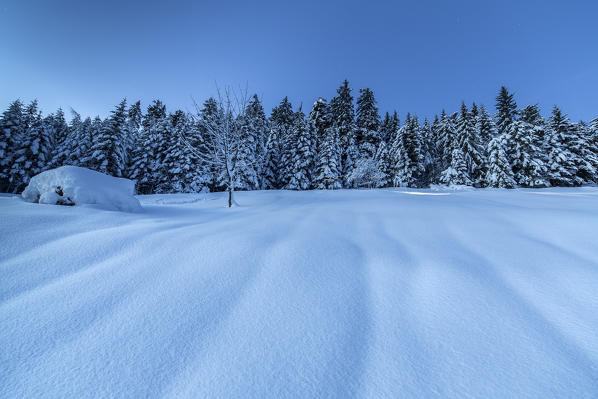 Lights of dusk illuminate  the snowy landscape Tagliate Di Sopra Gerola Valley Valtellina Lombardy Italy Europe