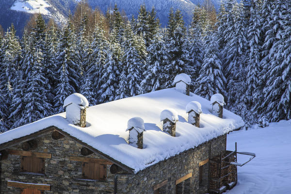 Snow covered hut and woods Tagliate Di Sopra Gerola Valley Valtellina Lombardy Italy Europe
