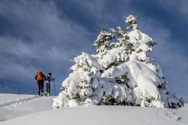 Alpine skiers through the snowy landscape Gerola Valley Valtellina Orobie Alps Lombardy Italy Europe