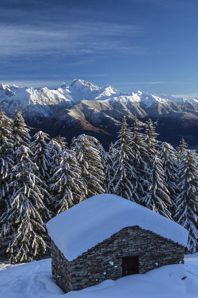 Snow covered hut and trees after a heavy snowfall Olano Masino Valley Valtellina Orobie Alps Lombardy Italy Europe