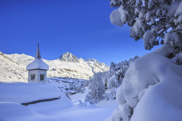 The bell tower submerged by snow surrounded by woods Maloja Canton of Graubünden Engadine Switzerland Europe