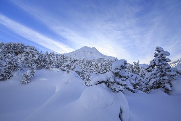 The heavy snowfall covered trees and the peaks  around Maloja Canton of Graubünden Engadine Switzerland Europe