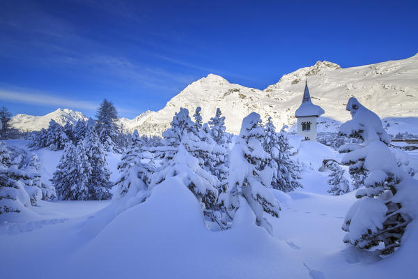 The bell tower submerged by snow surrounded by woods Maloja Canton of Graubünden Engadine Switzerland Europe