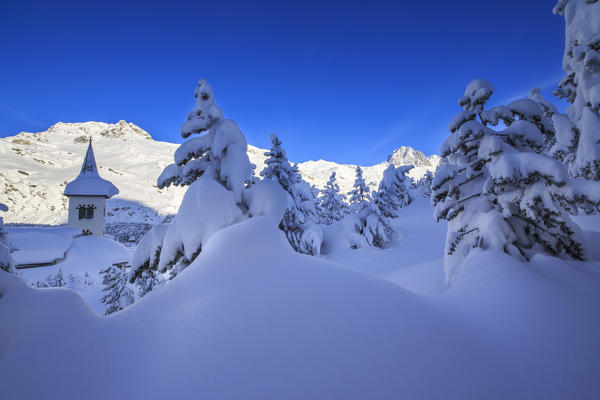 The bell tower submerged by snow surrounded by woods Maloja Canton of Graubünden Engadine Switzerland Europe
