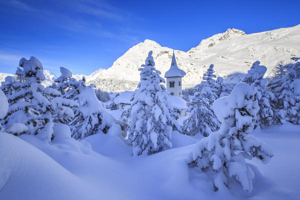 The bell tower submerged by snow surrounded by woods Maloja Canton of Graubünden Engadine Switzerland Europe