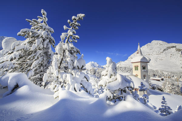 The bell tower submerged by snow surrounded by woods Maloja Canton of Graubünden Engadine Switzerland Europe