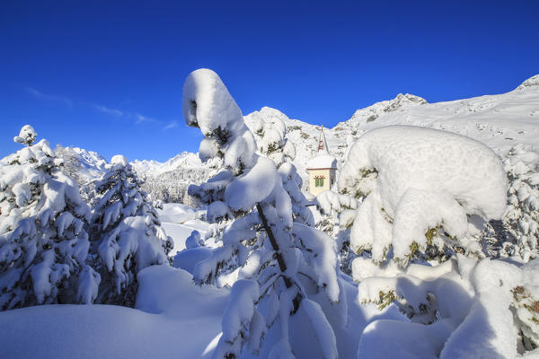 The bell tower submerged by snow surrounded by woods Maloja Canton of Graubünden Engadine Switzerland Europe