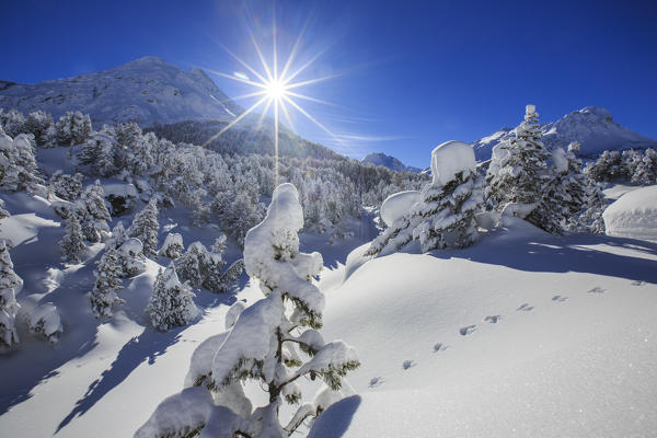 Rays of winter sun illuminate the snowy landscape around Maloja Canton of Graubünden Engadine Switzerland Europe
