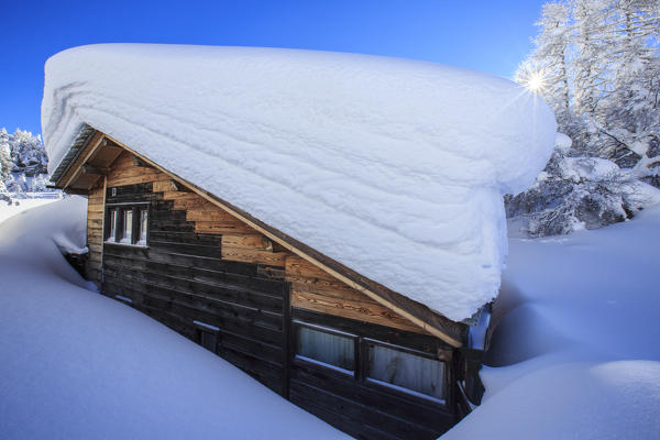 Wood cabin submerged in snow  Maloja Canton of Graubünden Engadine Switzerland Europe