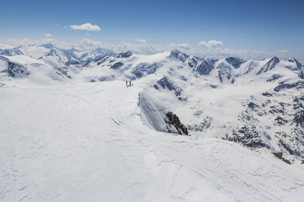 Alpine skiers admire the snowy landscape Palon de la Mare Valfurva Stelvio National Park Valtellina Lombardy Italy Europe 